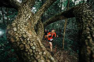 BIB: 
                            <button type="button" onclick="openModal(25393724)" class="btn btn-primary btn-sm float-right btn-popup" data-toggle="modal" data-target=".modal-high-quality">
                        <i class="fas fa-shopping-cart"></i> Add to Cart
                    </button>
                                            <button type="button" onclick="isThisMe(25393724, true)" class="btn btn-success btn-sm float-right btn-popup btn-isme hidden" data-toggle="tooltip" data-placement="bottom" title="นี่คือรูปของคุณใช่ไหม คลิกที่นี่เพื่อเอาเข้าอัลบั้ม">
                        <i class="fas fa-plus"></i> Add to album
                    </button>
                    <button type="button" onclick="isThisMe(25393724, false)" class="btn btn-warning btn-sm float-right btn-popup btn-isnotme hidden">
                        <i class="fas fa-ban"></i> Remove from album
                    </button>